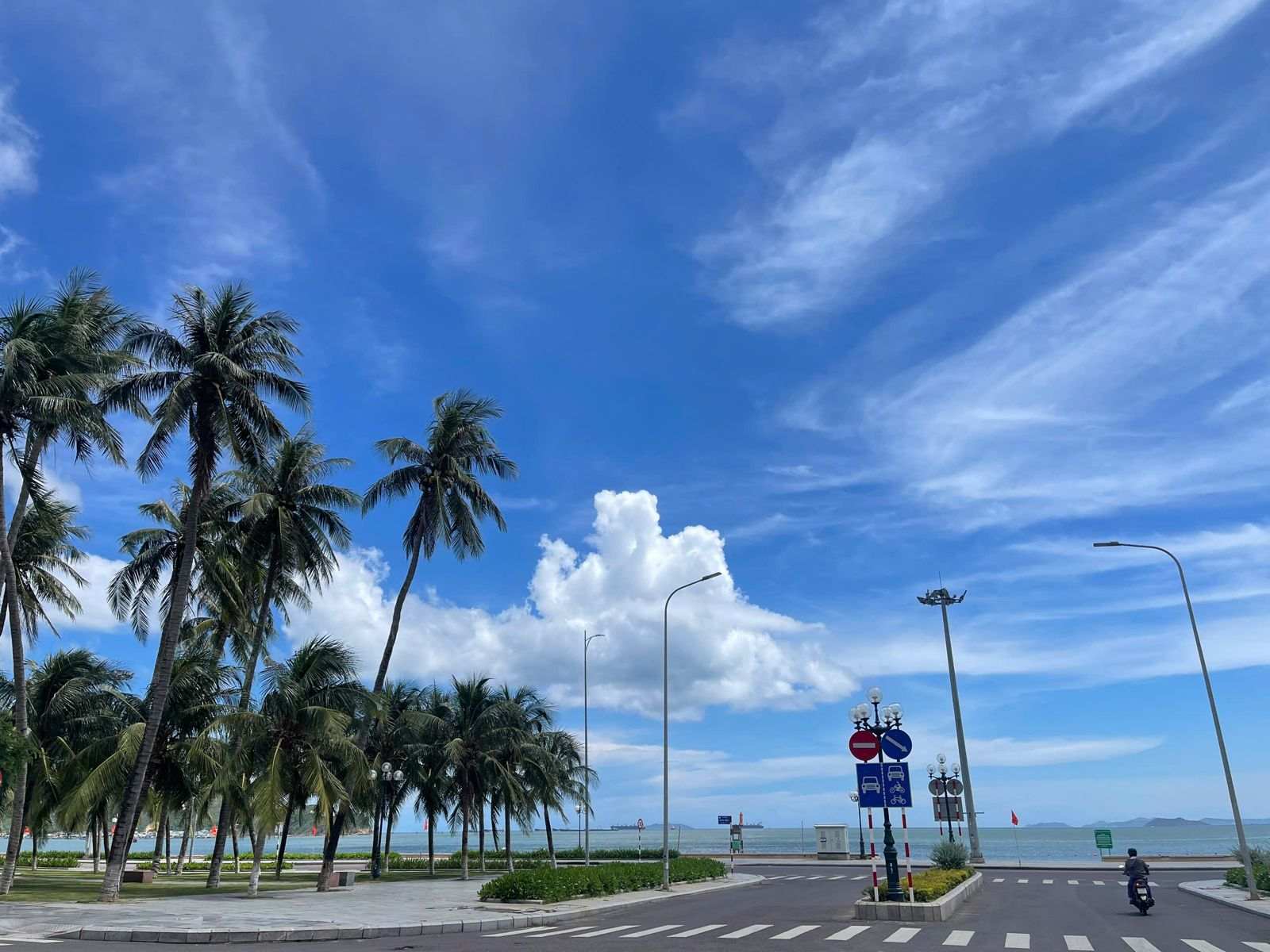 Hàng dừa và bờ biển Quy Nhơn ngay cạnh dự án